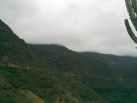 Vista hacia el Bosque 