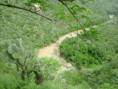 /album/fotogaleria/a599945-412538748782023-1839971831-n-jpg1/