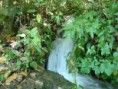 /album/fotogaleria/a601310-4258355018209-642595642-n-jpg1/