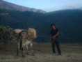 /album/fotogaleria/a603093-4258315217214-661388325-n-jpg1/